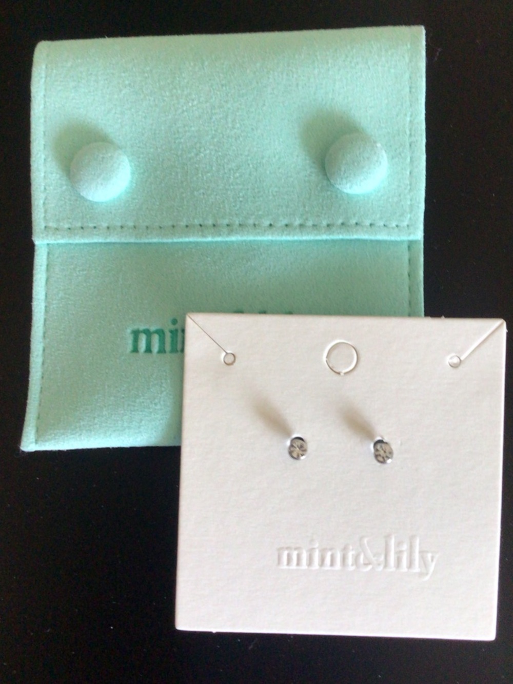 Bezel Cut CZ Stud Earrings. New in Pouch. Surgical Steel Post. Mint&lilly.